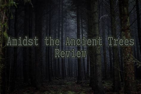 Unlocking the Secrets of the Ancient Forest: The Tree of Anywhere